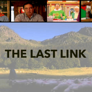 The Last Link DVD